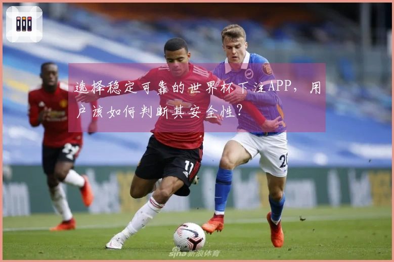 选择稳定可靠的世界杯下注APP，用户该如何判断其安全性？