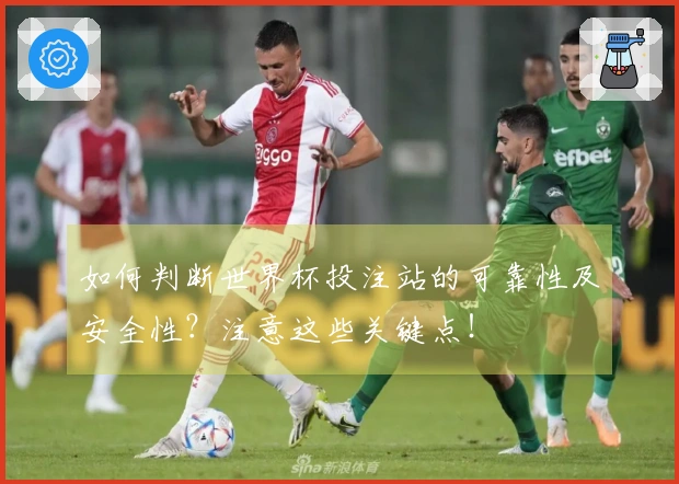如何判断世界杯投注站的可靠性及安全性？注意这些关键点！