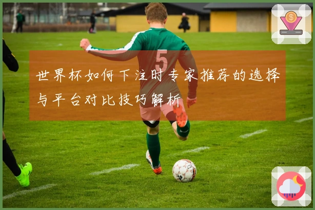 世界杯如何下注时专家推荐的选择与平台对比技巧解析