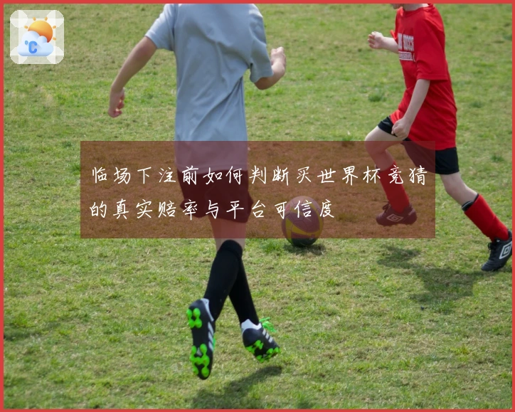 临场下注前如何判断买世界杯竞猜的真实赔率与平台可信度