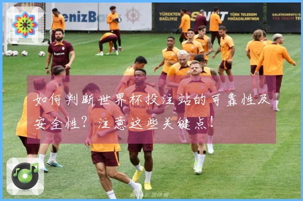 如何判断世界杯投注站的可靠性及安全性？注意这些关键点！
