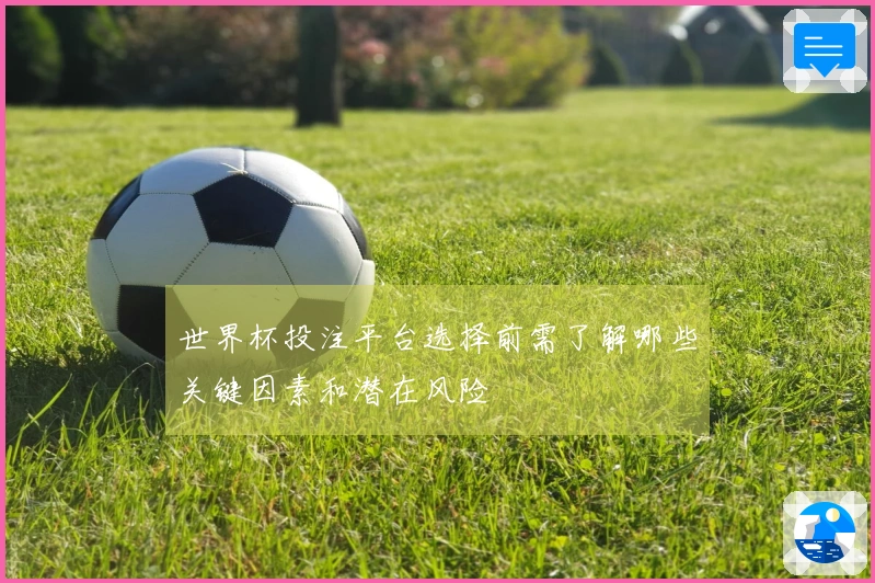 世界杯投注平台选择前需了解哪些关键因素和潜在风险