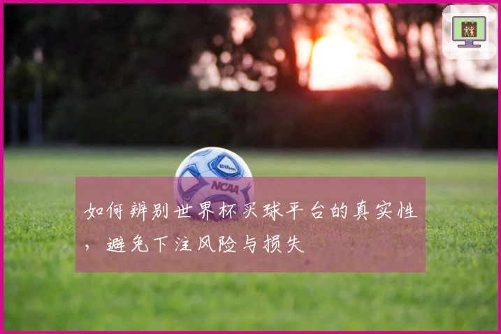 如何辨别世界杯买球平台的真实性，避免下注风险与损失