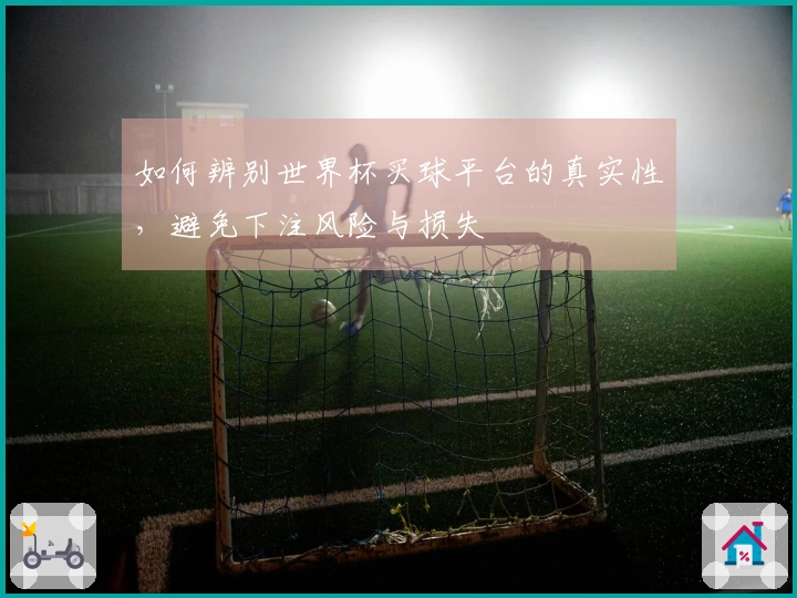 如何辨别世界杯买球平台的真实性，避免下注风险与损失